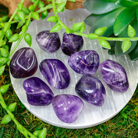 Midnight Amethyst Crystal Tumble || Protection, Clearing, Anxiety || Brazil