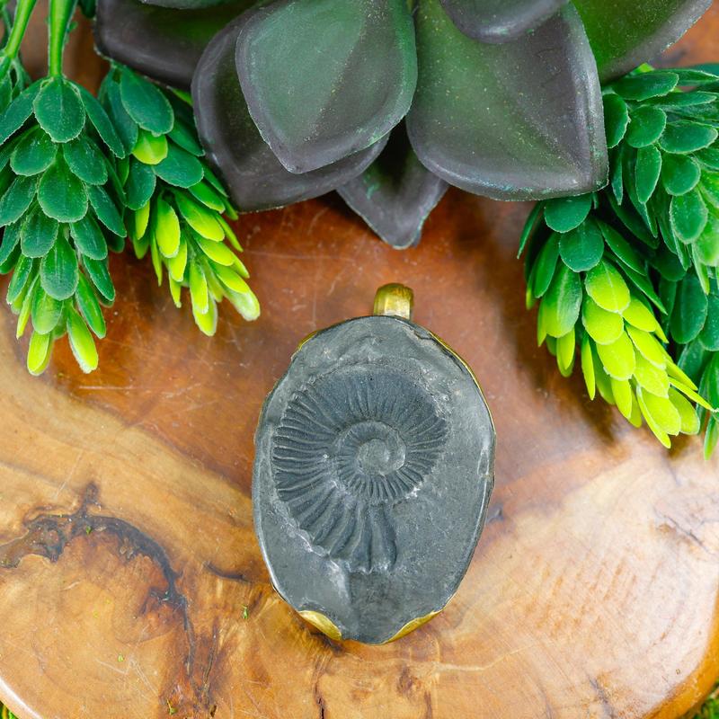 Tibetan Shaligram Ammonite Fossil Pendants || Trunk Show-Nature's Treasures