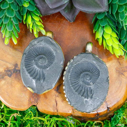Tibetan Shaligram Ammonite Fossil Pendants || Trunk Show-Nature's Treasures