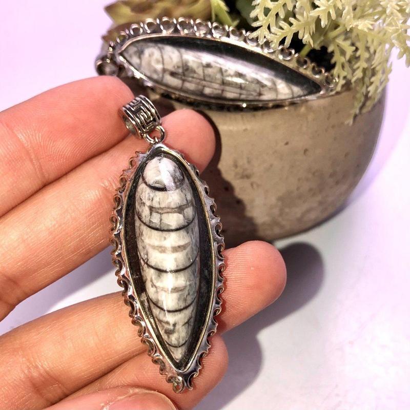 Unisex Orthocera Fossil Silver Metal Pendants-Nature's Treasures