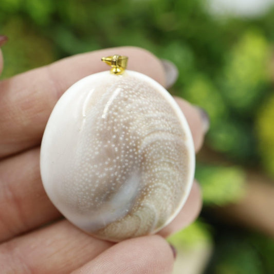 Unisex Shiva Eye Shell Pendants-Nature's Treasures