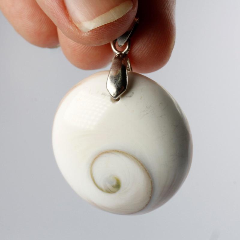 Unisex Shiva Eye Shell Pendants-Nature's Treasures