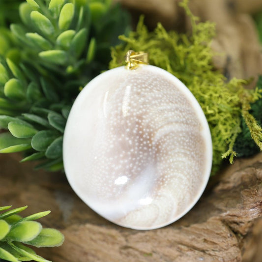 Unisex Shiva Eye Shell Pendants-Nature's Treasures