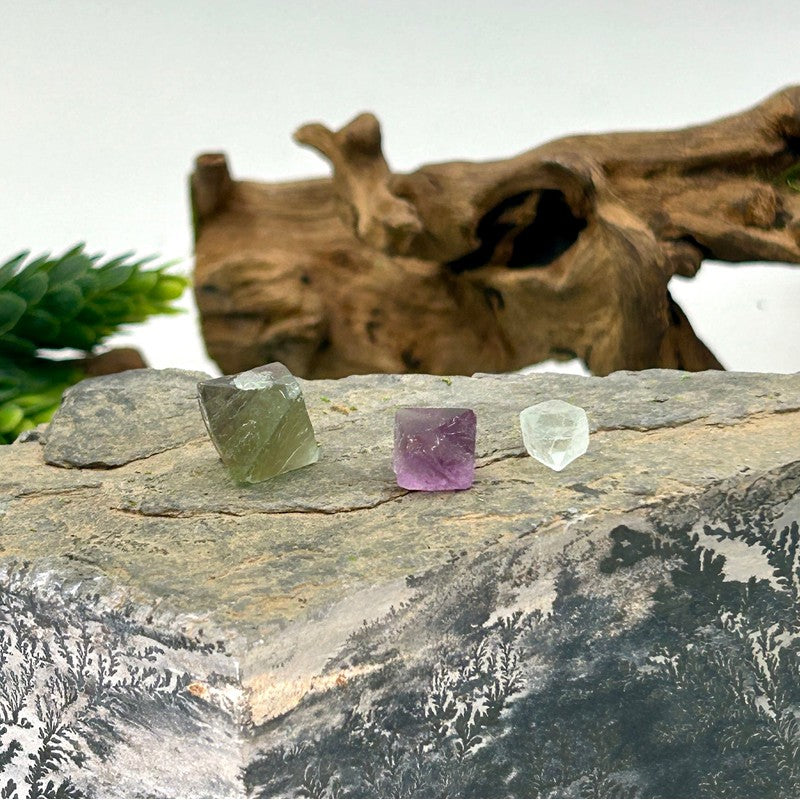 Unpolished Natural Fluorite Octahedron Carvings || Clarity-Nature's Treasures