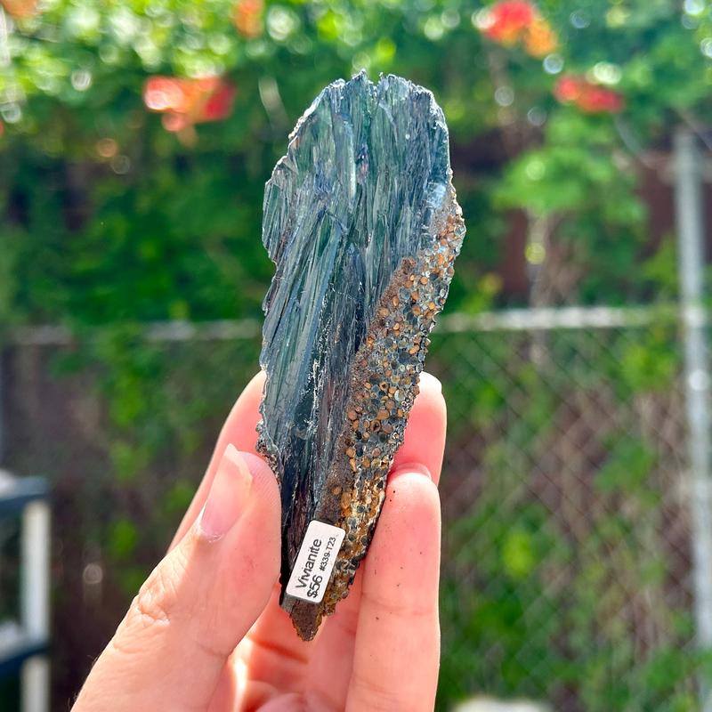 Vivianite Specimen Pieces || Trunk Show-Nature's Treasures