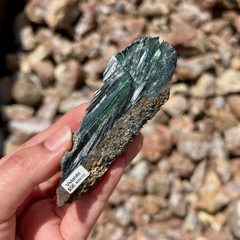 Vivianite Specimen Pieces || Trunk Show-Nature's Treasures