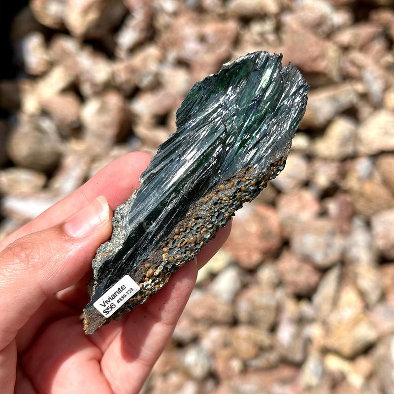 Vivianite Specimen Pieces || Trunk Show-Nature's Treasures