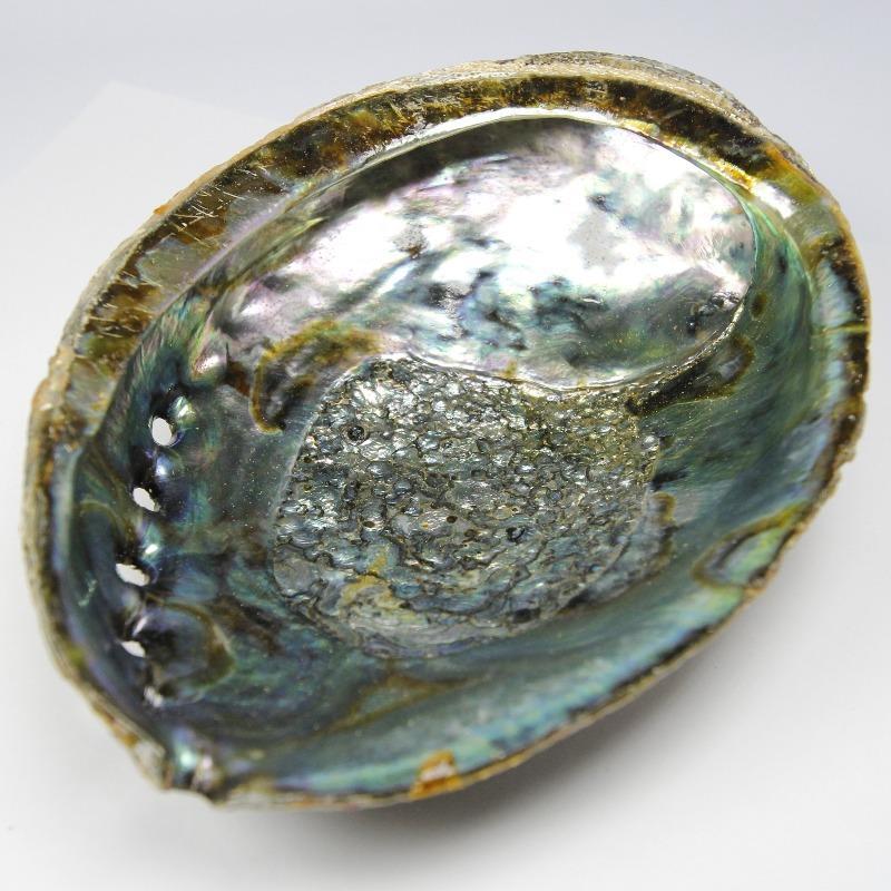 Abalone Shell Smudge Bowl Large 6"-Nature's Treasures