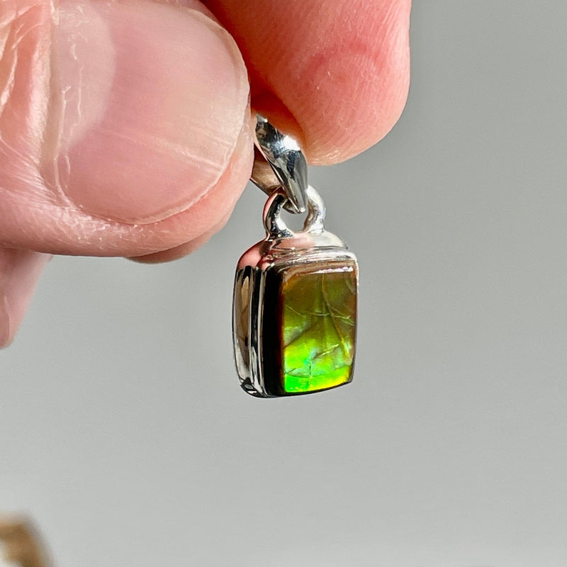 Ammolite Pendant | .925 Sterling Silver-Nature's Treasures