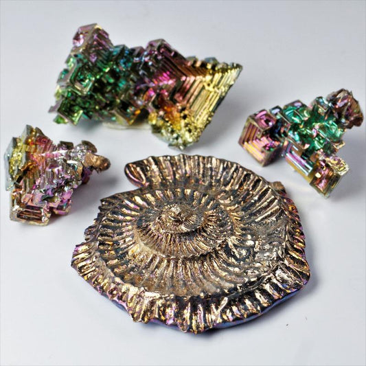 Ammonite Bismuth-Nature's Treasures