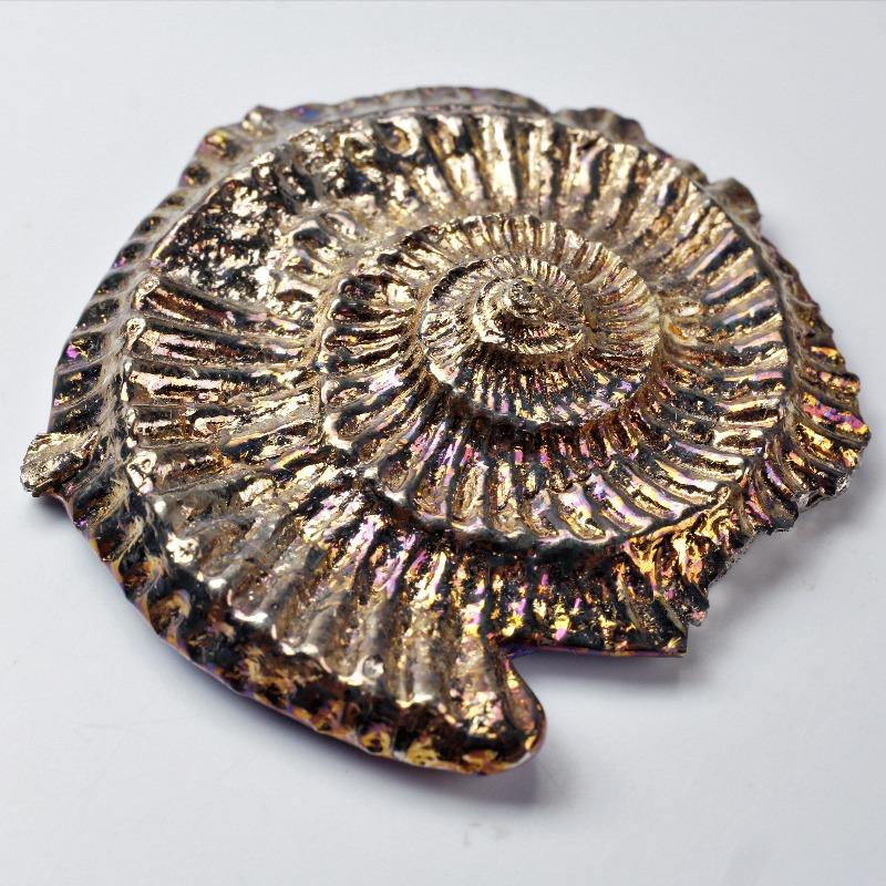 Ammonite Bismuth-Nature's Treasures
