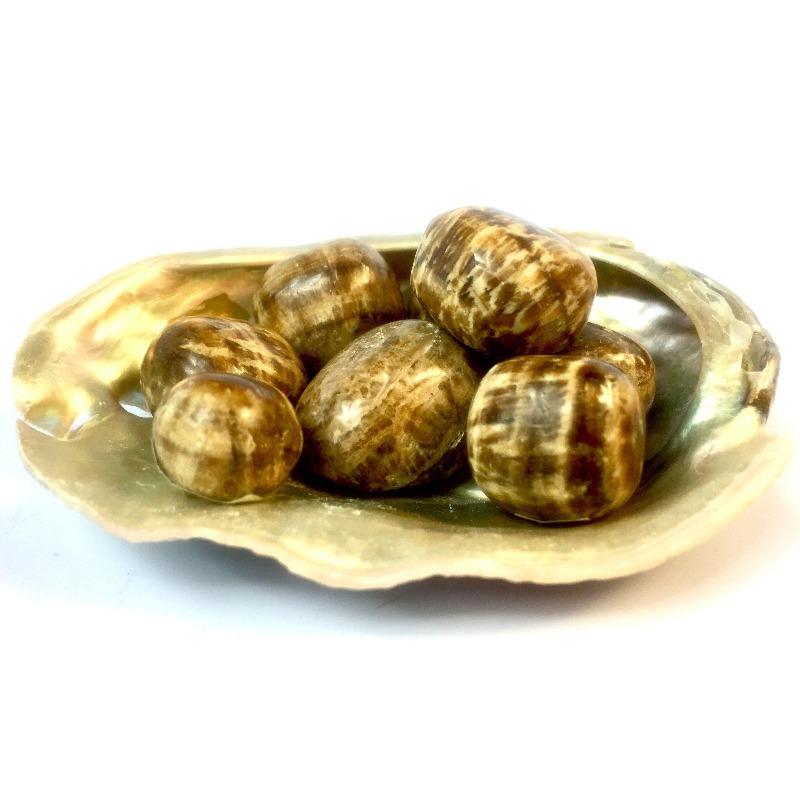 Banded Aragonite Tumbled Stone-Nature's Treasures