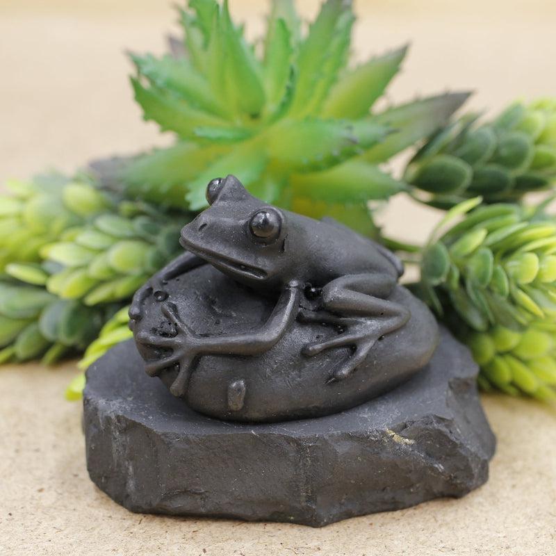 Carved Shungite Frog Totem Statue || EMF Blocker, Protections, Change || Russia