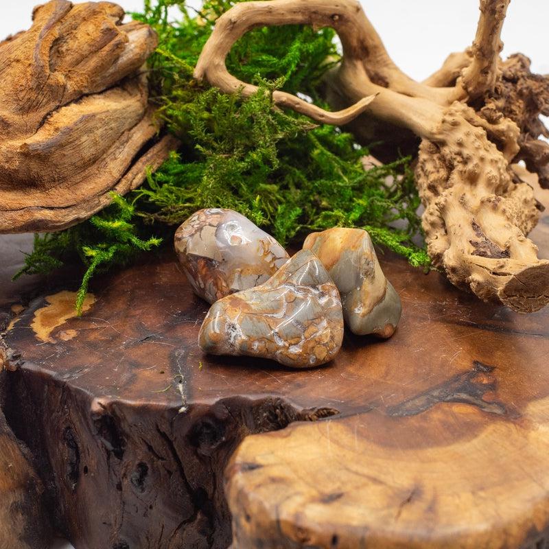 Ibis Jasper Exotic Tumble || Trauma Healing, Shadow Work || Madagascar-Nature's Treasures