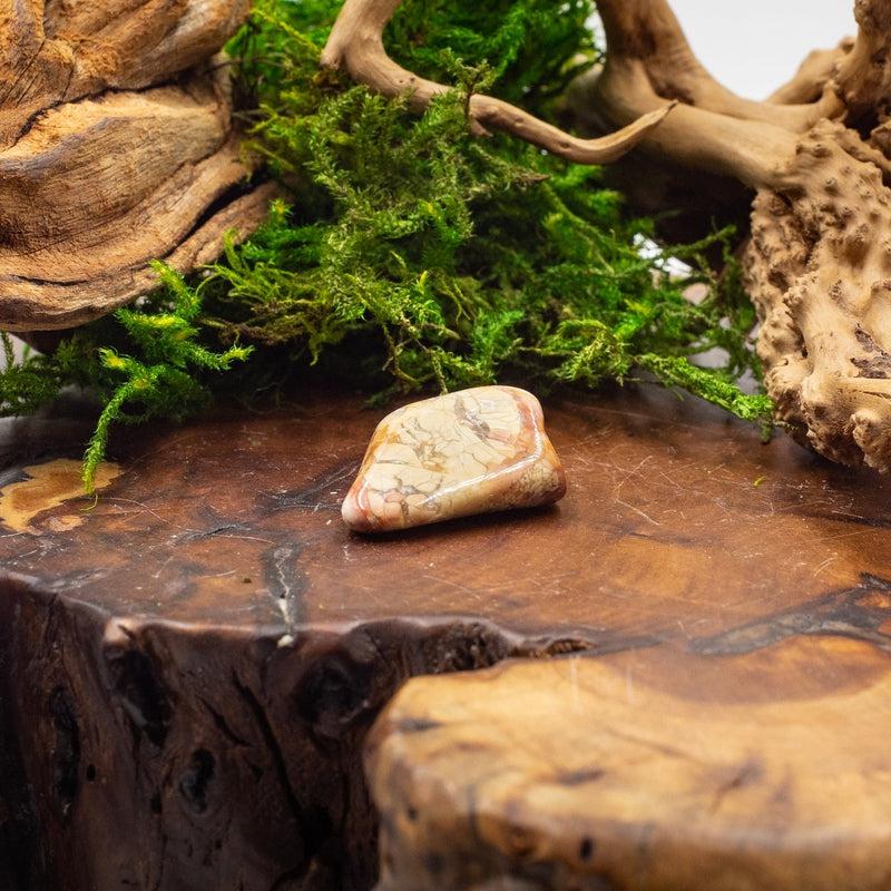 Ibis Jasper Exotic Tumble || Trauma Healing, Shadow Work || Madagascar-Nature's Treasures