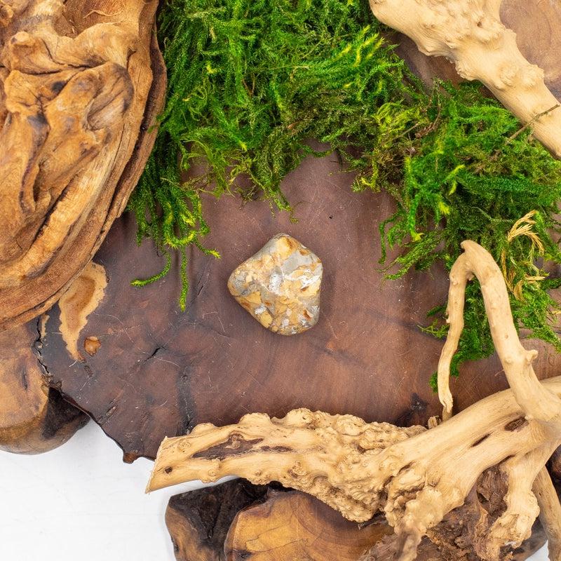 Ibis Jasper Exotic Tumble || Trauma Healing, Shadow Work || Madagascar-Nature's Treasures