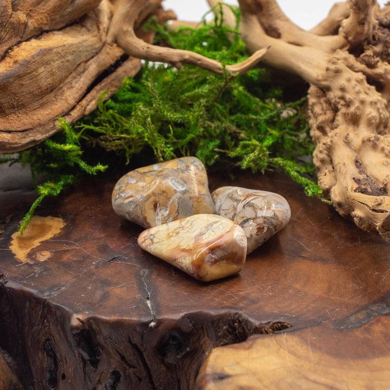 Ibis Jasper Exotic Tumble || Trauma Healing, Shadow Work || Madagascar-Nature's Treasures