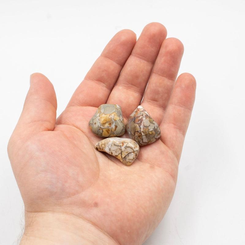 Ibis Jasper Exotic Tumble || Trauma Healing, Shadow Work || Madagascar-Nature's Treasures