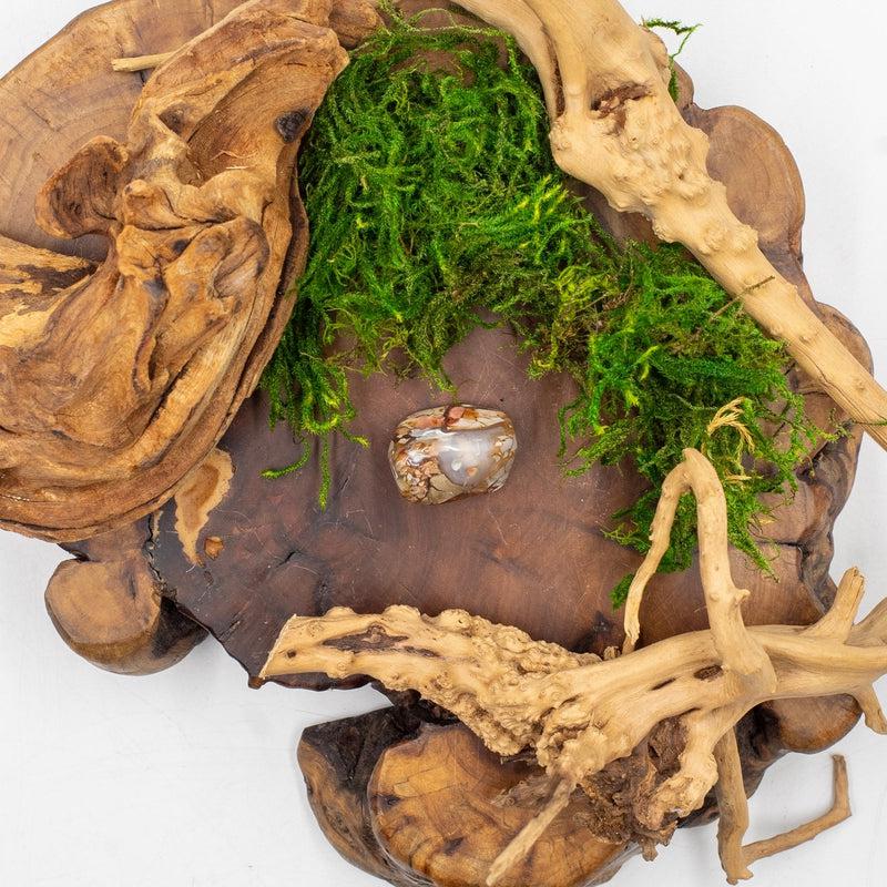 Ibis Jasper Exotic Tumble || Trauma Healing, Shadow Work || Madagascar-Nature's Treasures