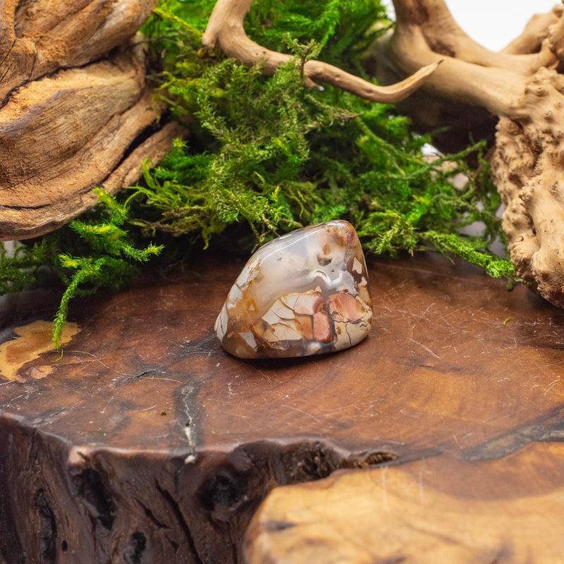 Ibis Jasper Exotic Tumble || Trauma Healing, Shadow Work || Madagascar-Nature's Treasures