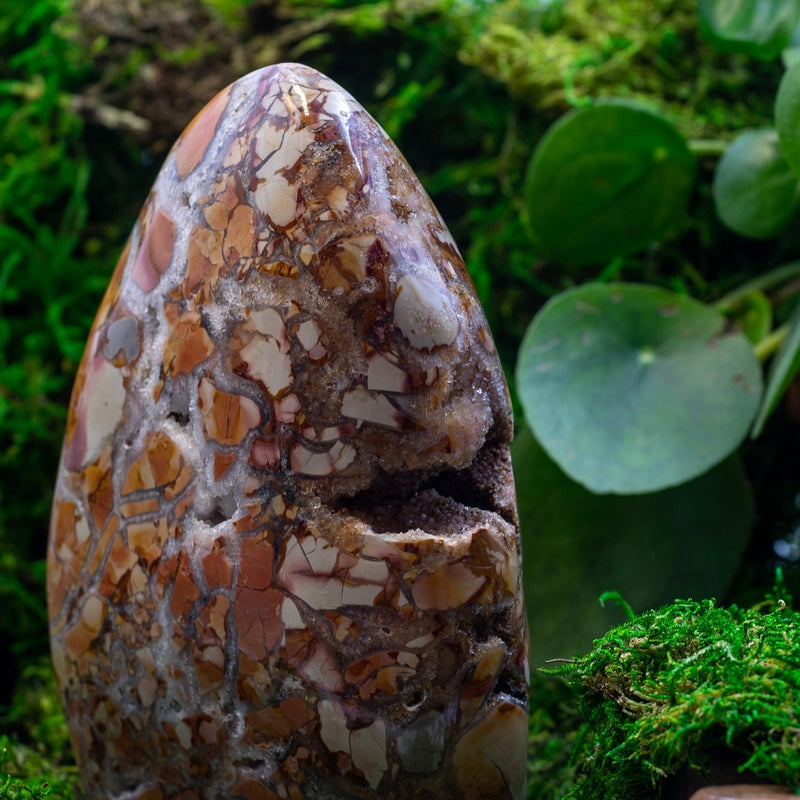 Ibis Jasper Free Forms || Heightens Intuition, Healing Past Trauma || Madagascar-Nature's Treasures