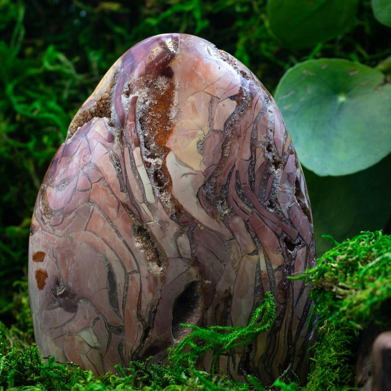 Ibis Jasper Free Forms || Heightens Intuition, Healing Past Trauma || Madagascar-Nature's Treasures