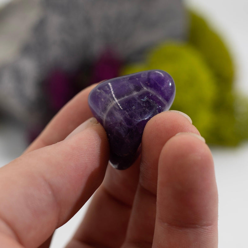 Midnight Amethyst Crystal Tumble || Protection, Clearing, Anxiety || Brazil-Nature's Treasures