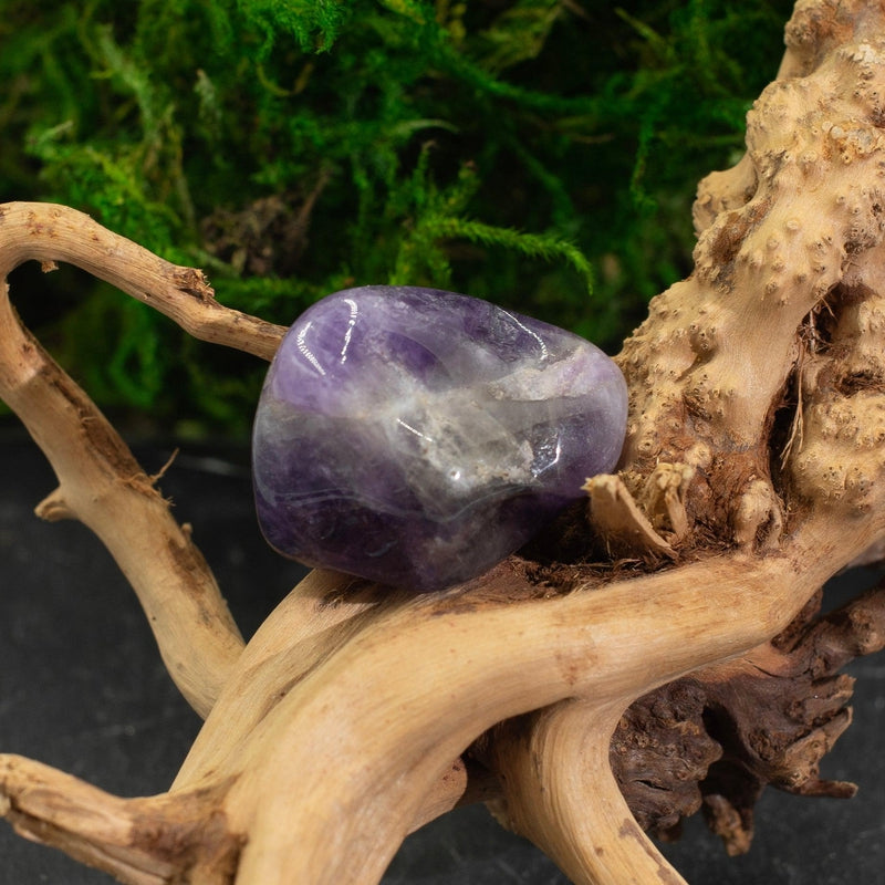Midnight Amethyst Crystal Tumble || Protection, Clearing, Anxiety || Brazil-Nature's Treasures