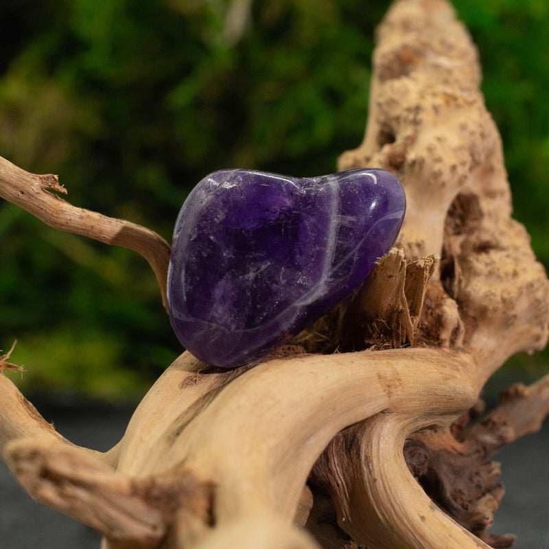 Midnight Amethyst Crystal Tumble || Protection, Clearing, Anxiety || Brazil-Nature's Treasures
