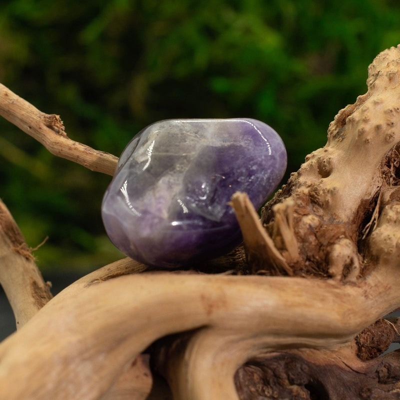 Midnight Amethyst Crystal Tumble || Protection, Clearing, Anxiety || Brazil-Nature's Treasures