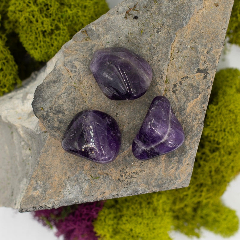 Midnight Amethyst Crystal Tumble || Protection, Clearing, Anxiety || Brazil-Nature's Treasures