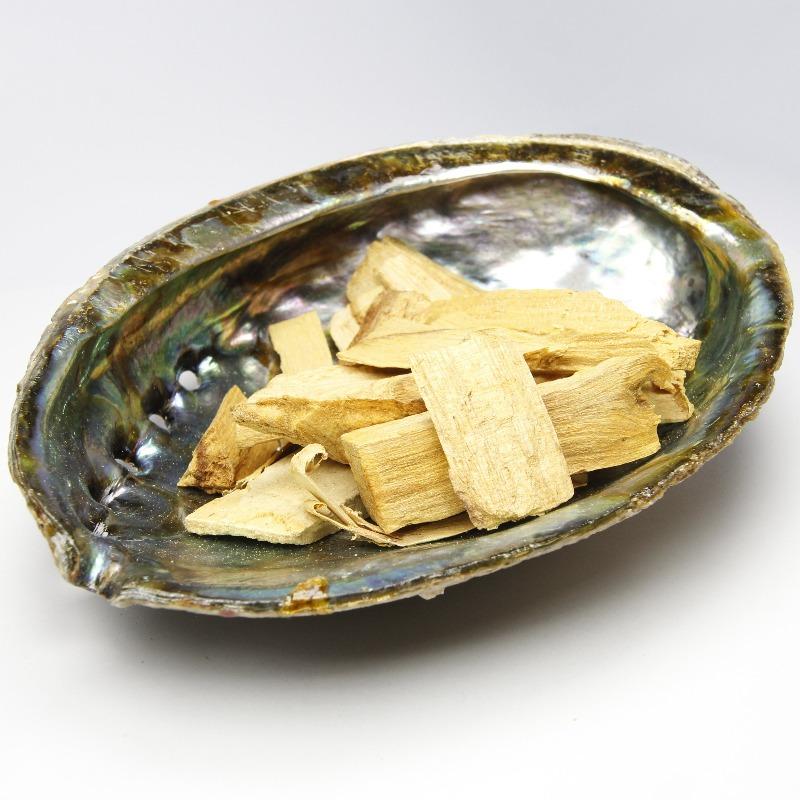 Natural Abalone Shell Bowls- Large 6" || Smudging & Home Decor-Nature's Treasures