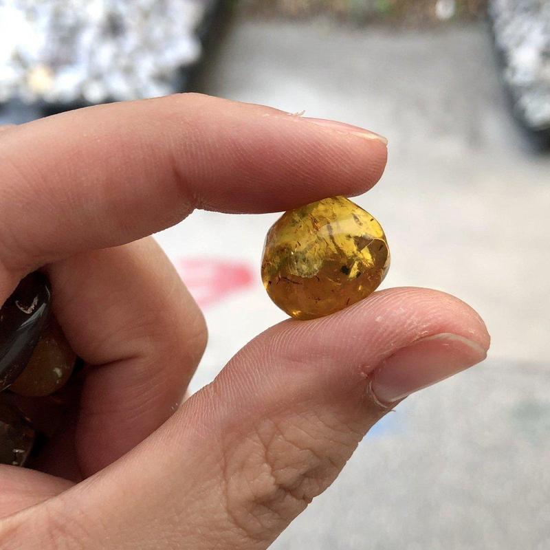 Natural Amber Tumble Stone || Cleansing, Security || Indonesia-Nature's Treasures