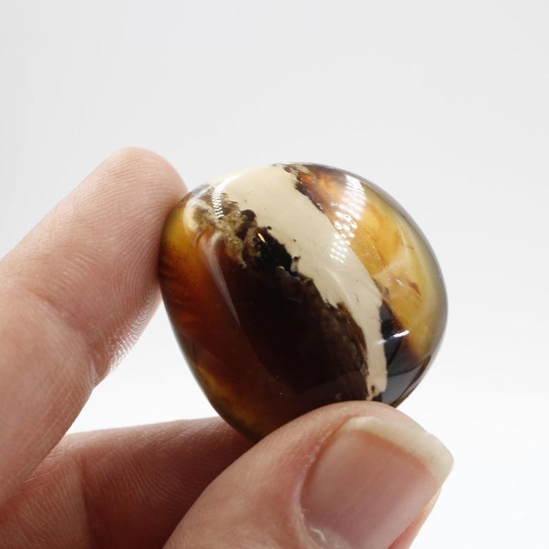 Natural Amber Tumble Stone || Cleansing, Security || Indonesia-Nature's Treasures