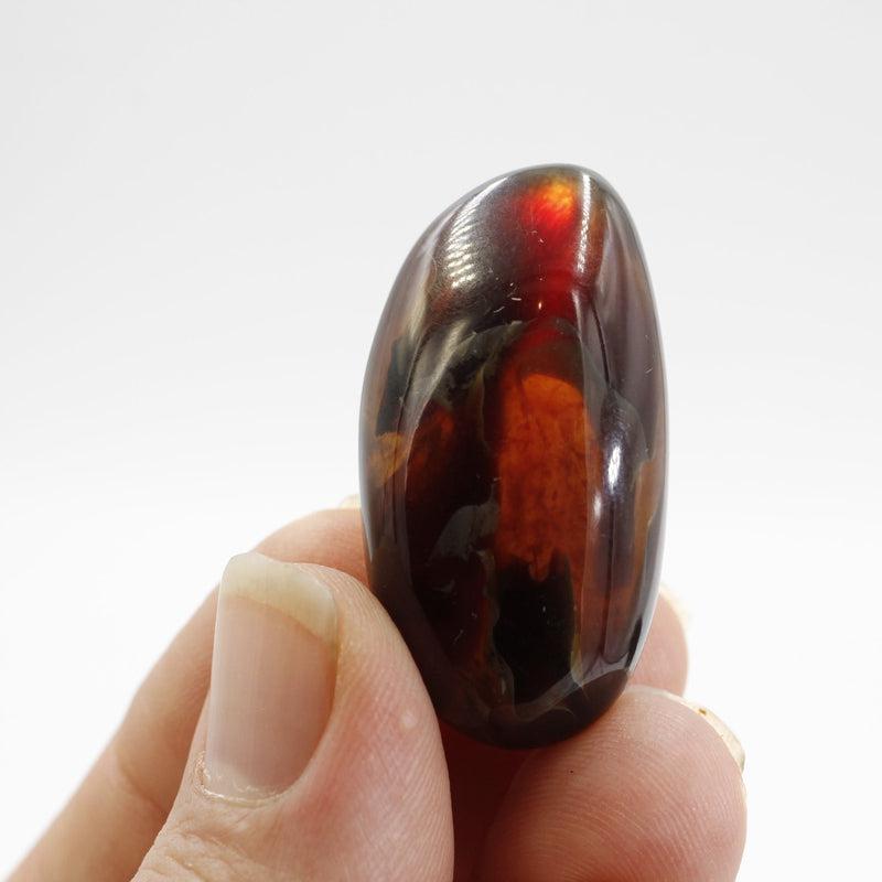Natural Amber Tumble Stone || Cleansing, Security || Indonesia-Nature's Treasures