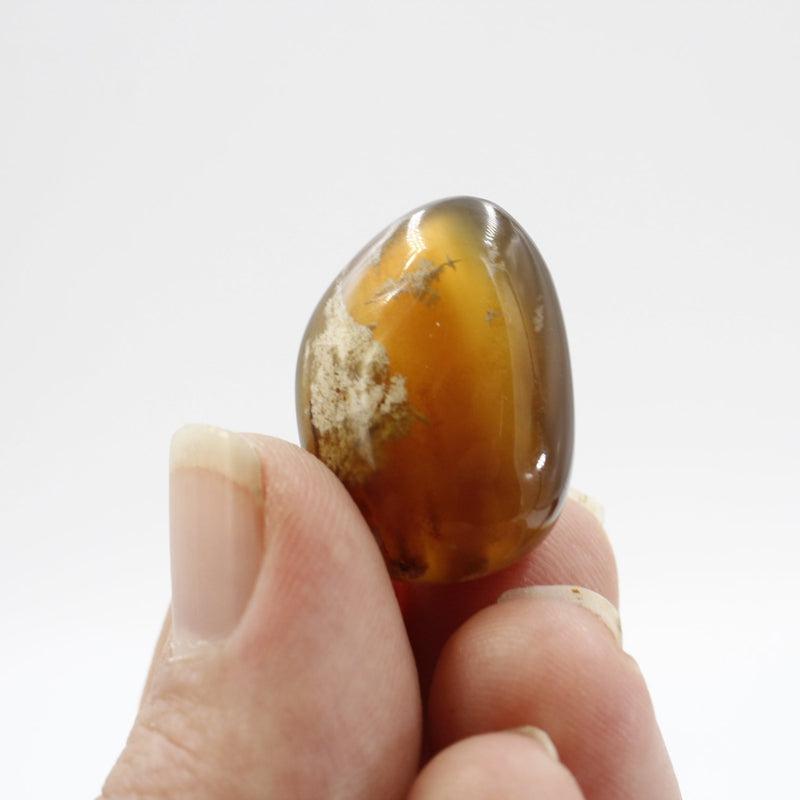Natural Amber Tumble Stone || Cleansing, Security || Indonesia-Nature's Treasures