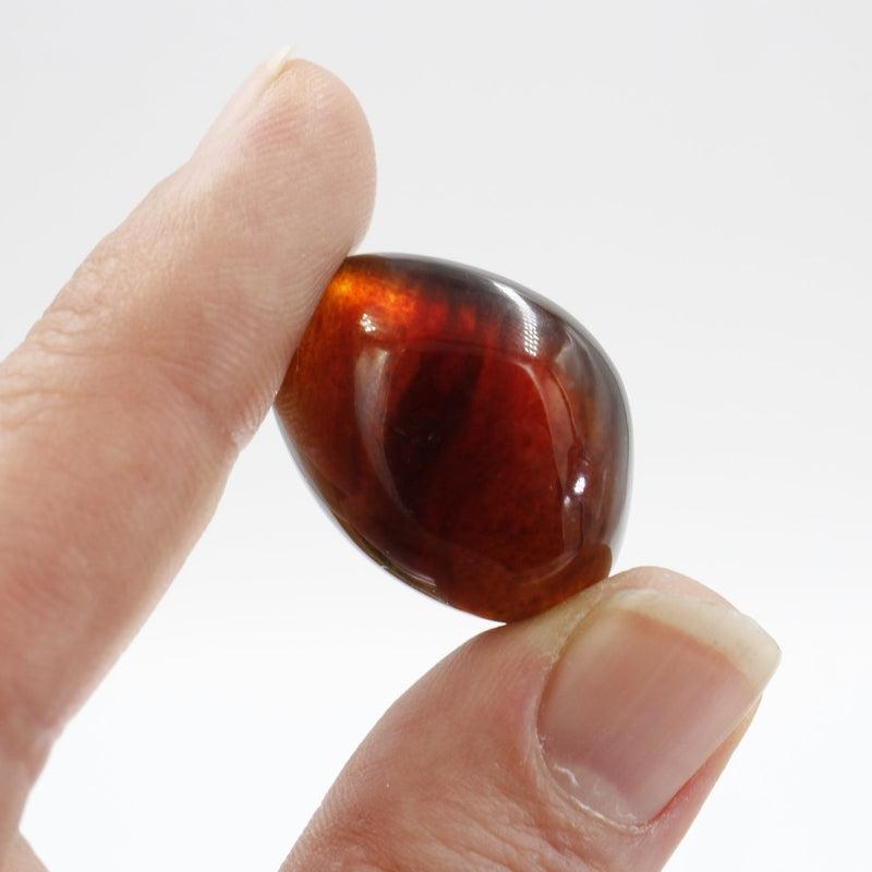 Natural Amber Tumble Stone || Cleansing, Security || Indonesia-Nature's Treasures