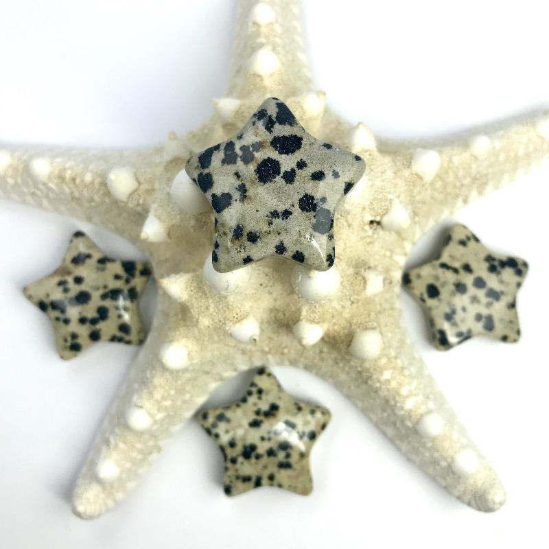 Natural Dalmatian Jasper Star Carvings || Protection, Grounding || Mexico-Nature's Treasures