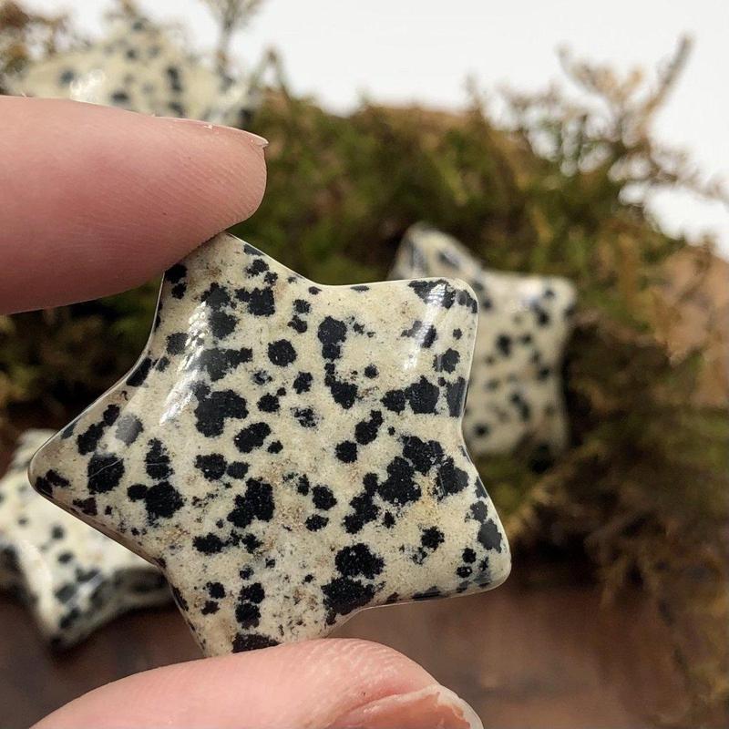 Natural Dalmatian Jasper Star Pendant || Protection, Grounding || Mexico