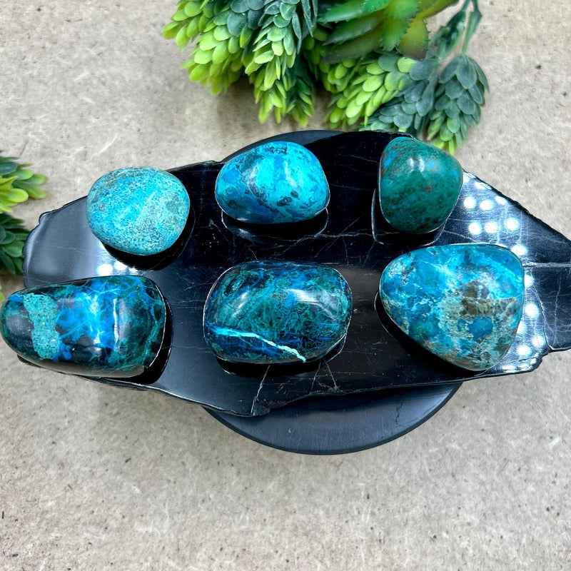 Natural Polished Chrysocolla Tumble Stone || Communication, Releasing Blockages || Peru-Nature's Treasures