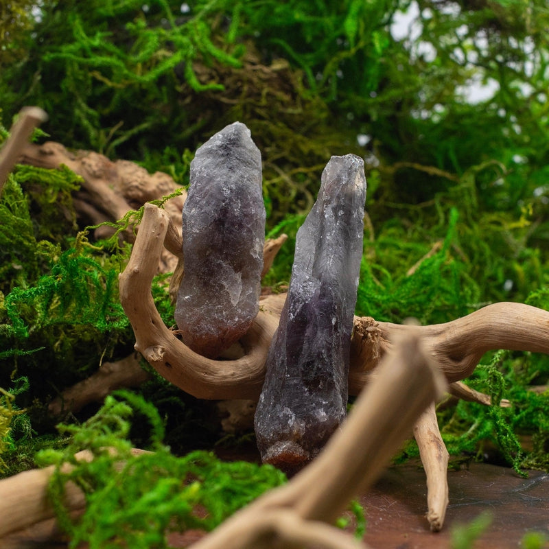 Naturally Formed Red Capped Amethyst Raw Point || Protection, Psychic Enhancement, Grounding-Nature's Treasures