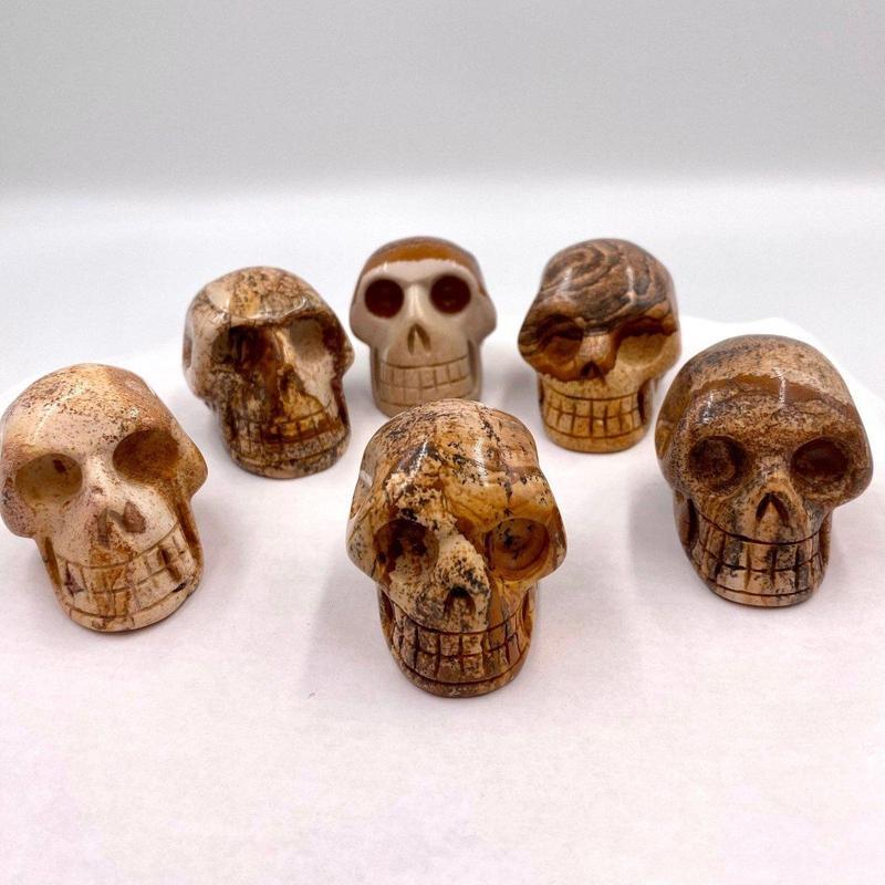 Picture Jasper Skull || Medium-Nature's Treasures
