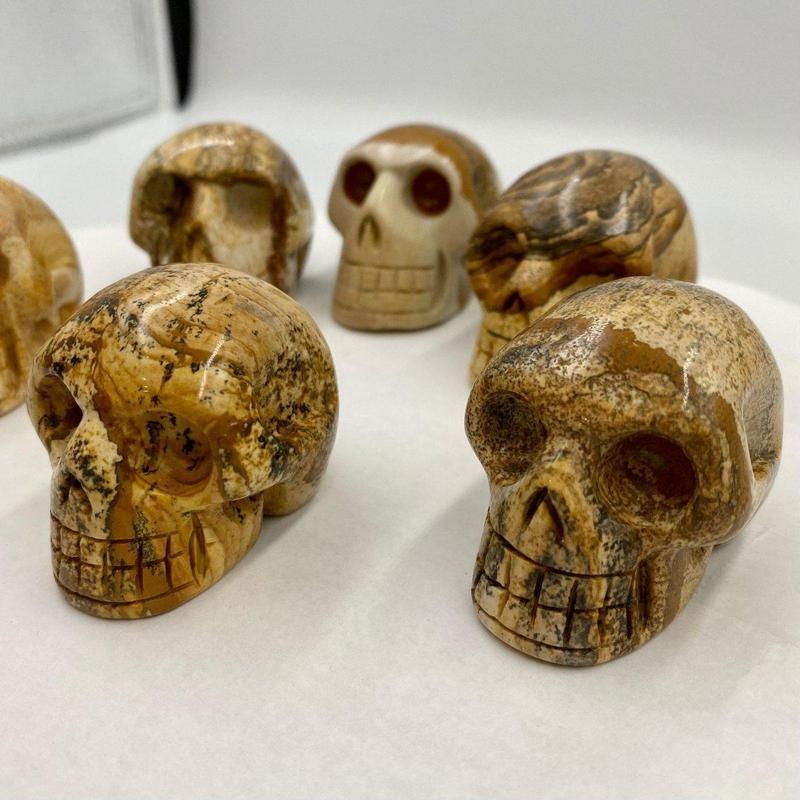 Picture Jasper Skull || Medium-Nature's Treasures