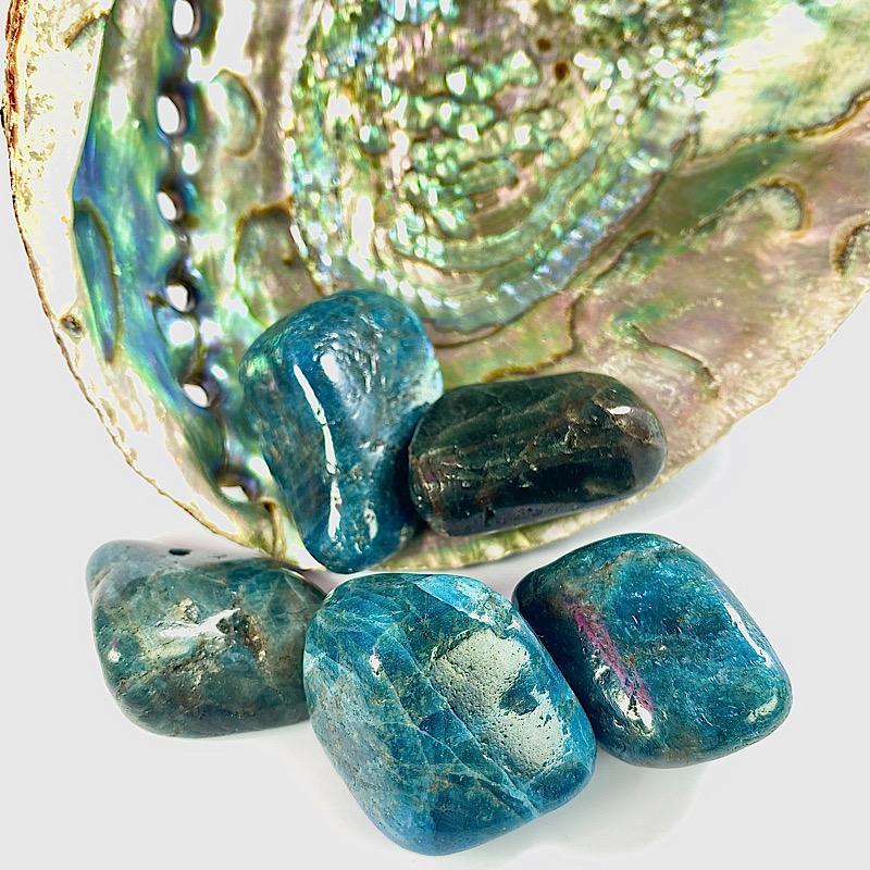 Polished Blue Apatite Tumble Stone || Psychic Enhancement, Lucid Dreaming, Throat Chakra || Madagascar-Nature's Treasures