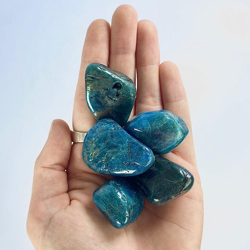 Polished Blue Apatite Tumble Stone || Psychic Enhancement, Lucid Dreaming, Throat Chakra || Madagascar-Nature's Treasures
