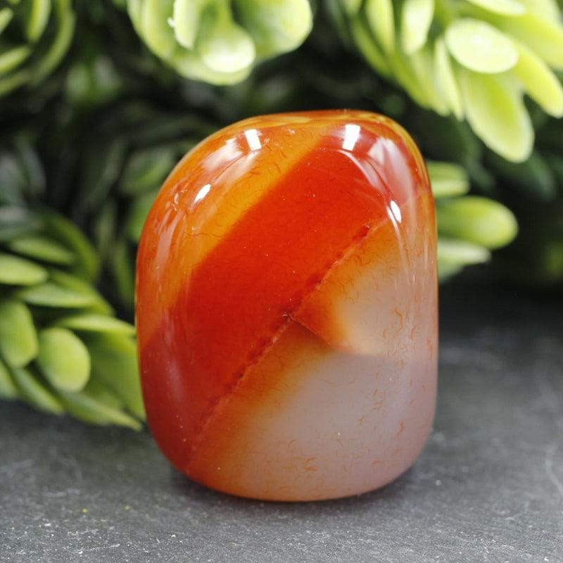 Polished Carnelian Tumble Stone || Creativity, Inspiration, Taking Action || China-Nature's Treasures