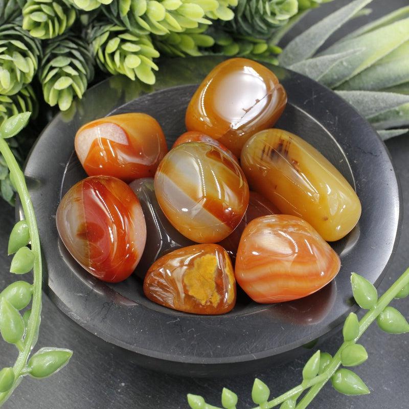 Polished Carnelian Tumble Stone || Creativity, Inspiration, Taking Action || China-Nature's Treasures
