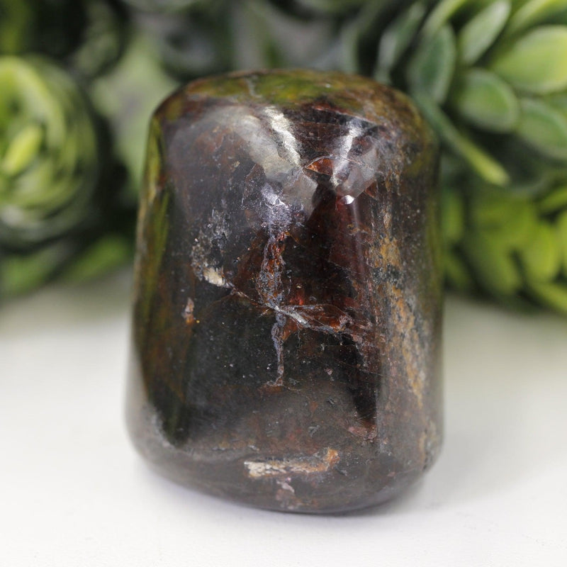 Polished Garnet Tumble Stone || Grounding, Psychic Protection || India-Nature's Treasures