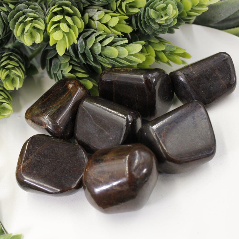 Polished Garnet Tumble Stone || Grounding, Psychic Protection || India-Nature's Treasures