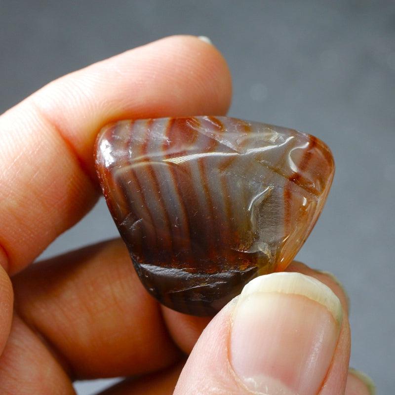 Polished Natural Agate Jumbo Tumble Stone || Grounding, Balance, Tension Releaser || Brazil-Nature's Treasures